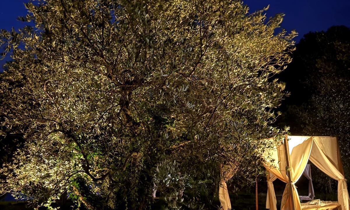 Photo of Outdoor in Castelnuovo di Val di Cecina