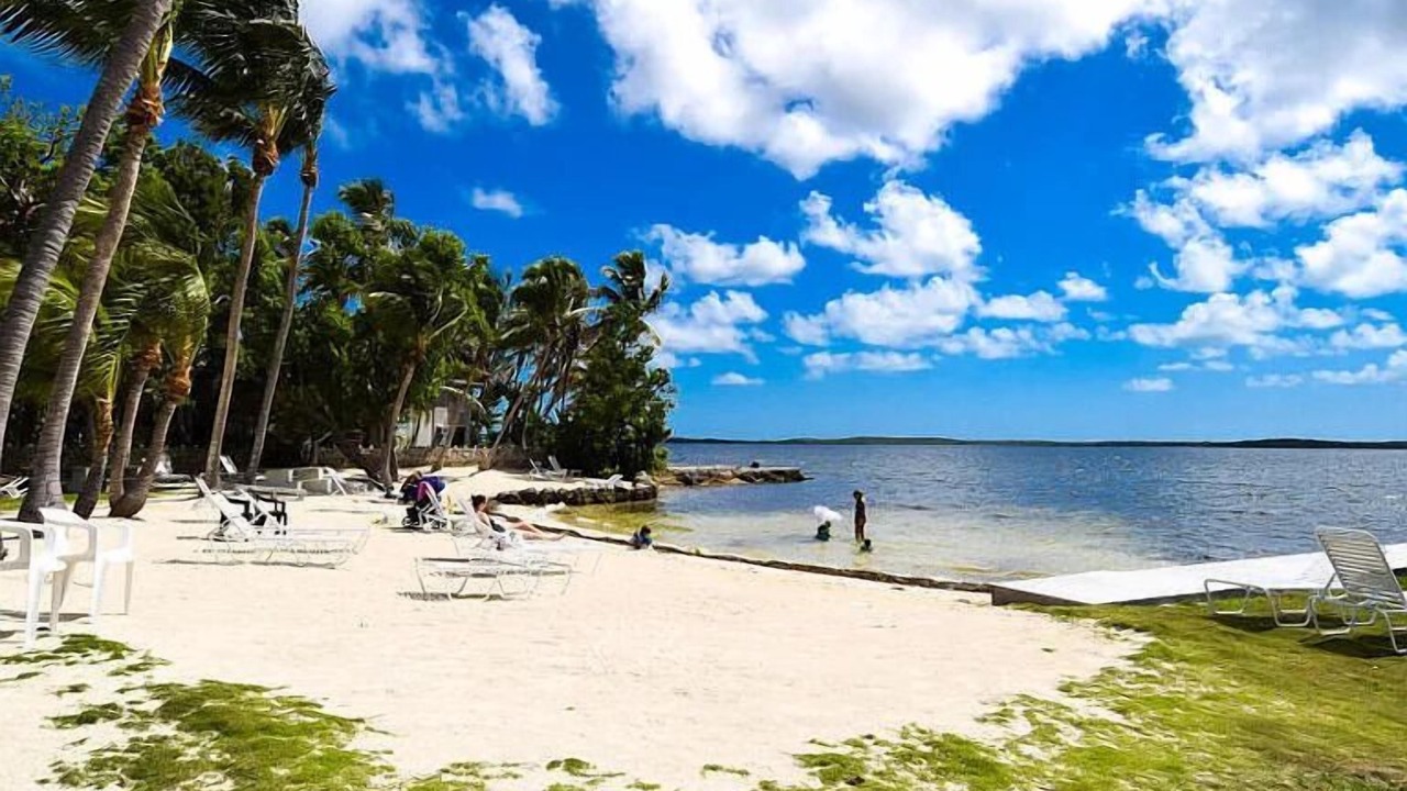 Photo of Others in Anglers Park