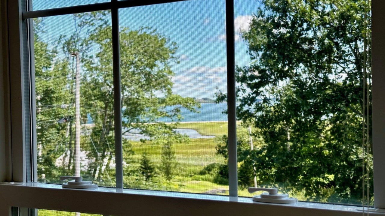 Photo of Others in Mid-Coast and Islands