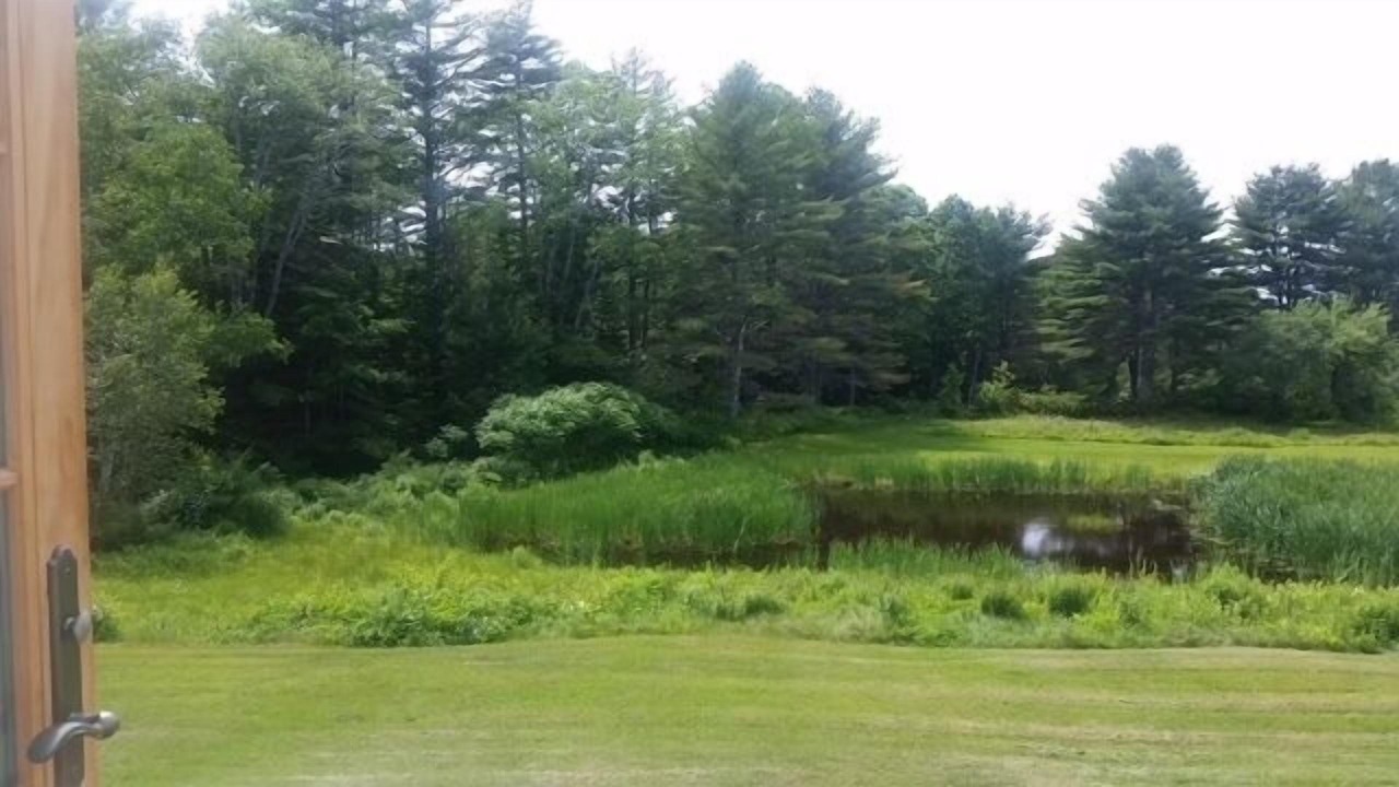 Photo of Others in Walpole