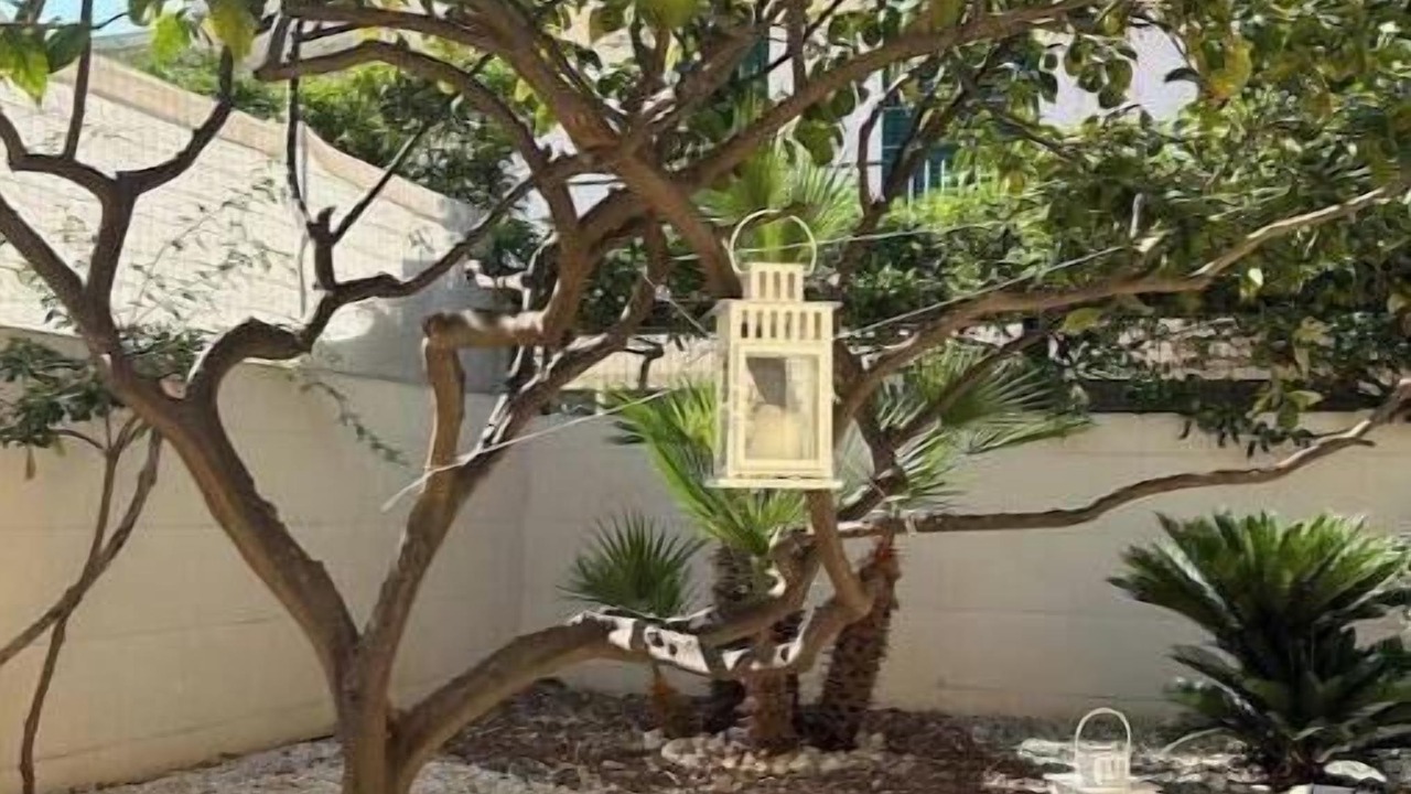Photo of Outdoor in Marina di Modica