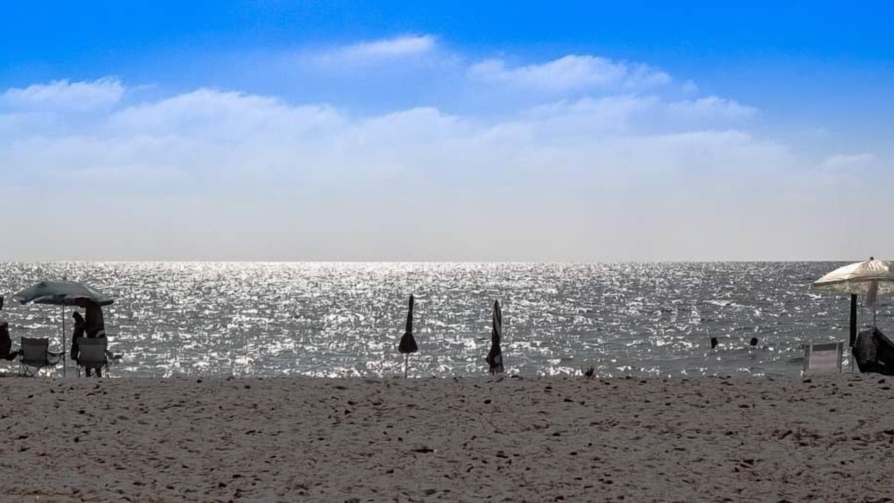 Photo of Others in Arborea