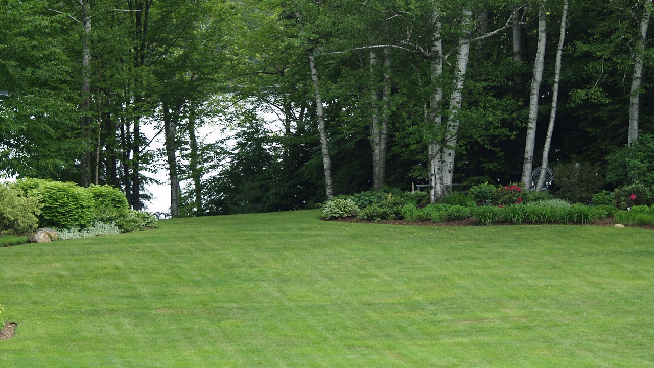 Photo of Outdoor in Dryden