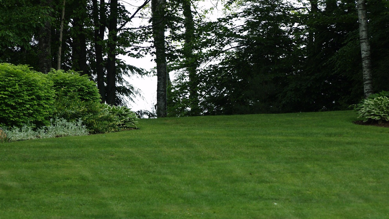 Photo of Outdoor in Dryden