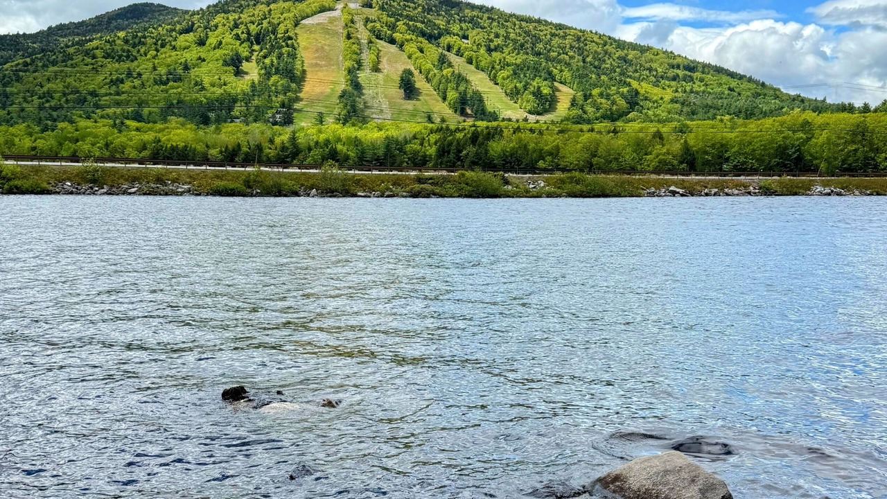 Photo of Others in Bridgton