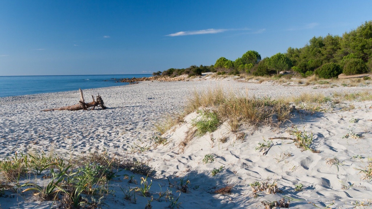 Photo of Others in Cala Liberotto