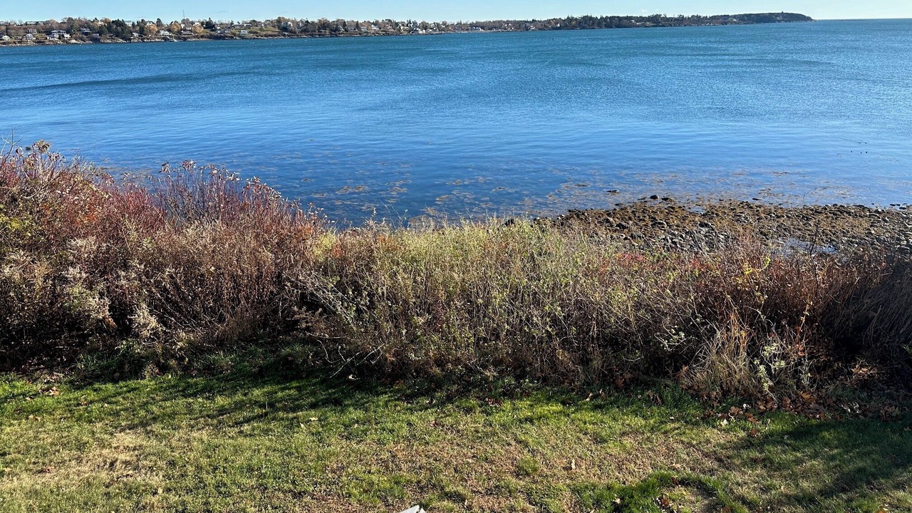 Photo of Others in Mid-Coast and Islands