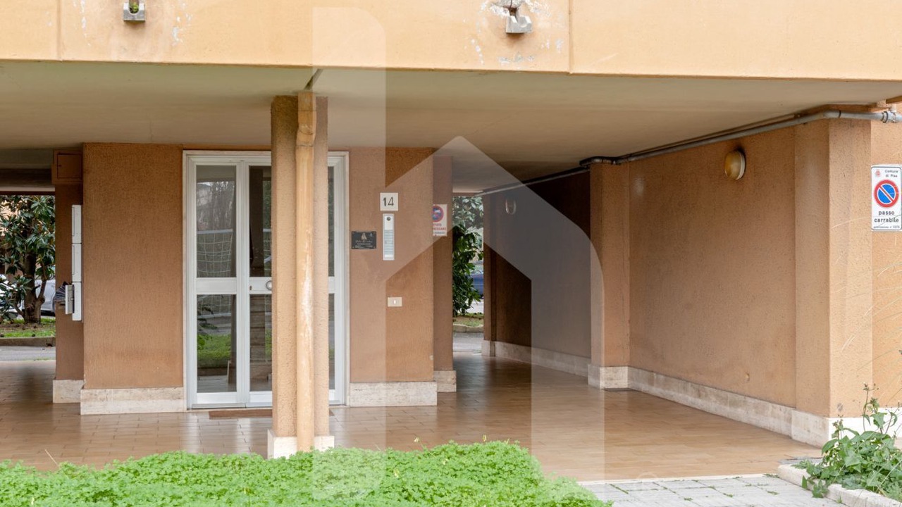 Photo of Outdoor in Pisa