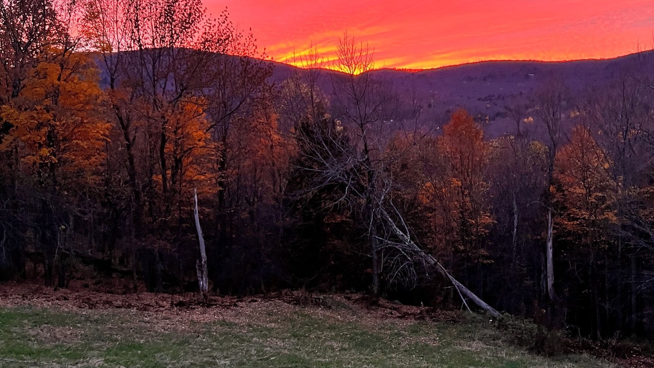 Photo of Others in Green Mountains