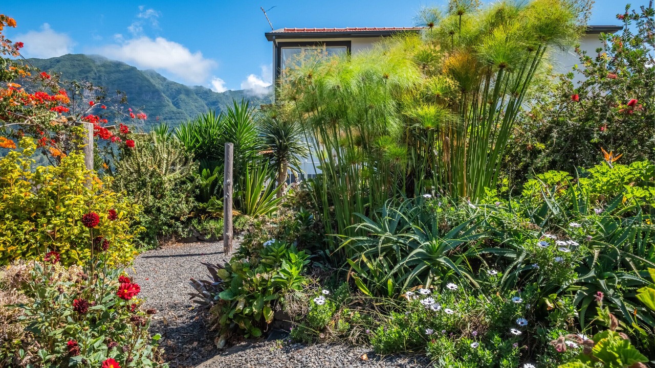 Photo of Outdoor in Sao Vicente