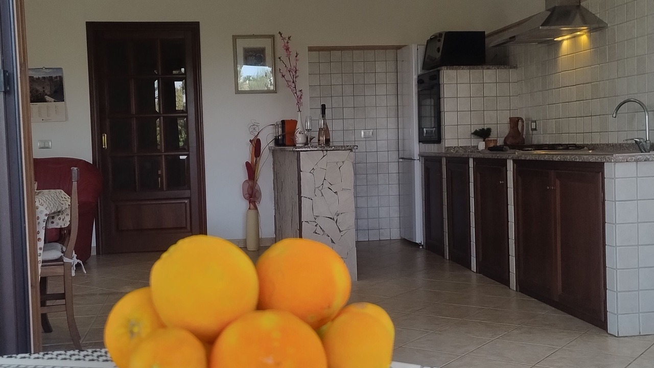 Photo of Others in Northern Sardinia