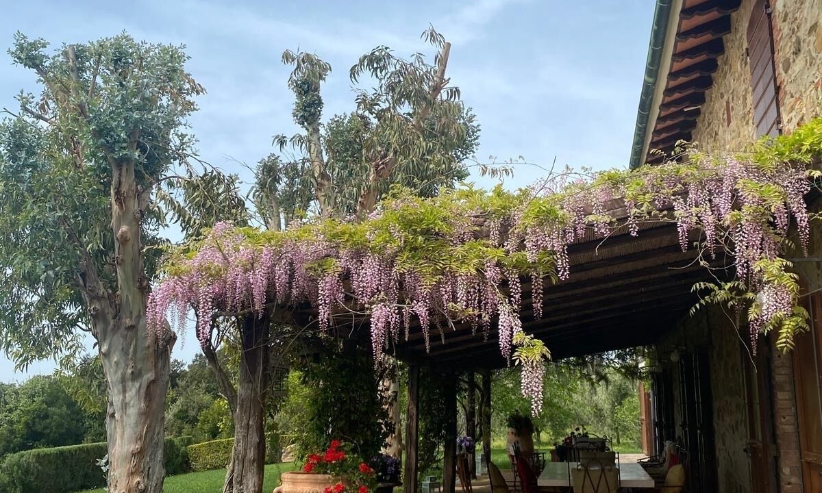 Photo of Outdoor in Monterotondo Marittimo