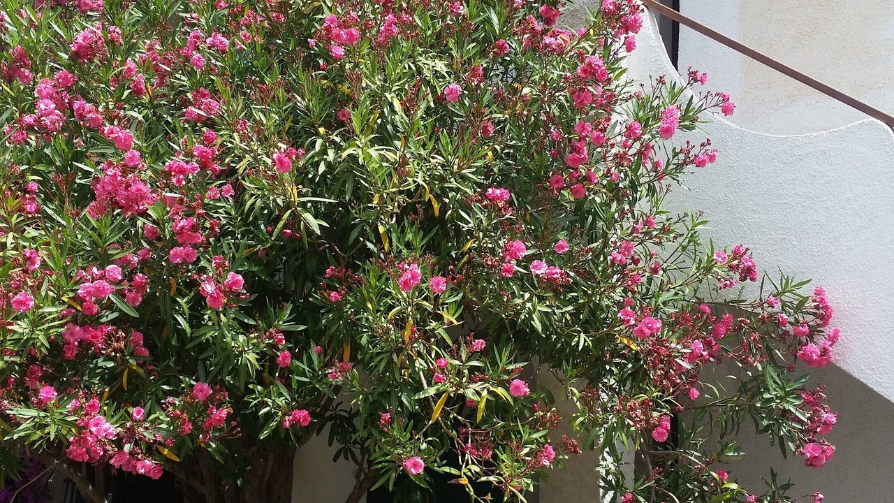 Photo of Outdoor in Santa Caterina