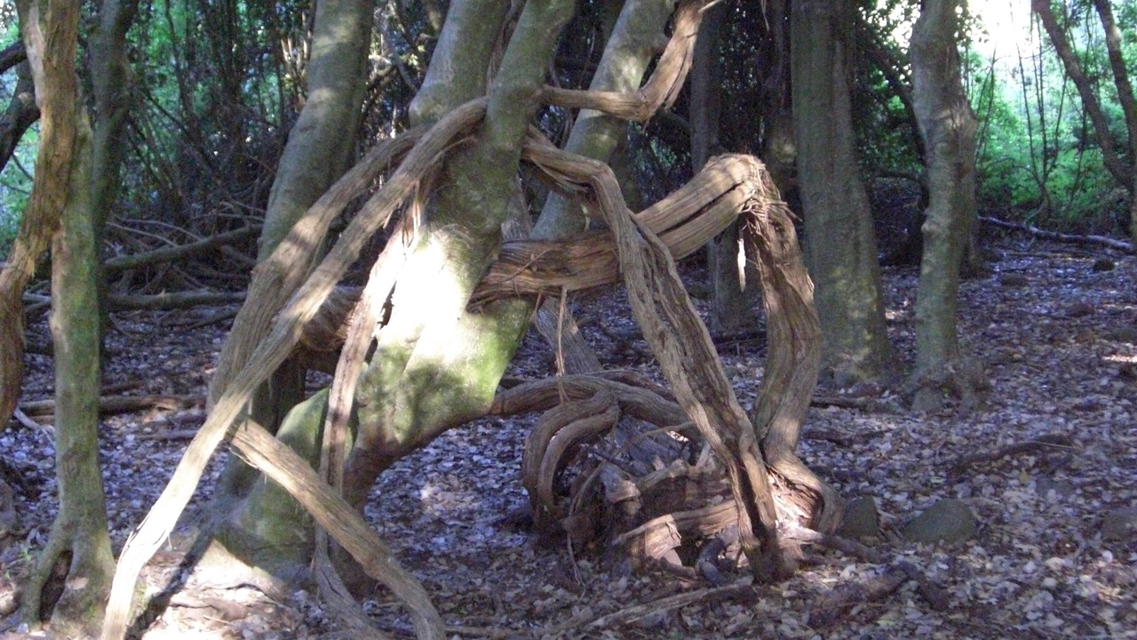 Photo of Outdoor in Santa Caterina