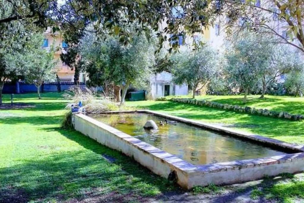 Photo of Others in Province of Cagliari