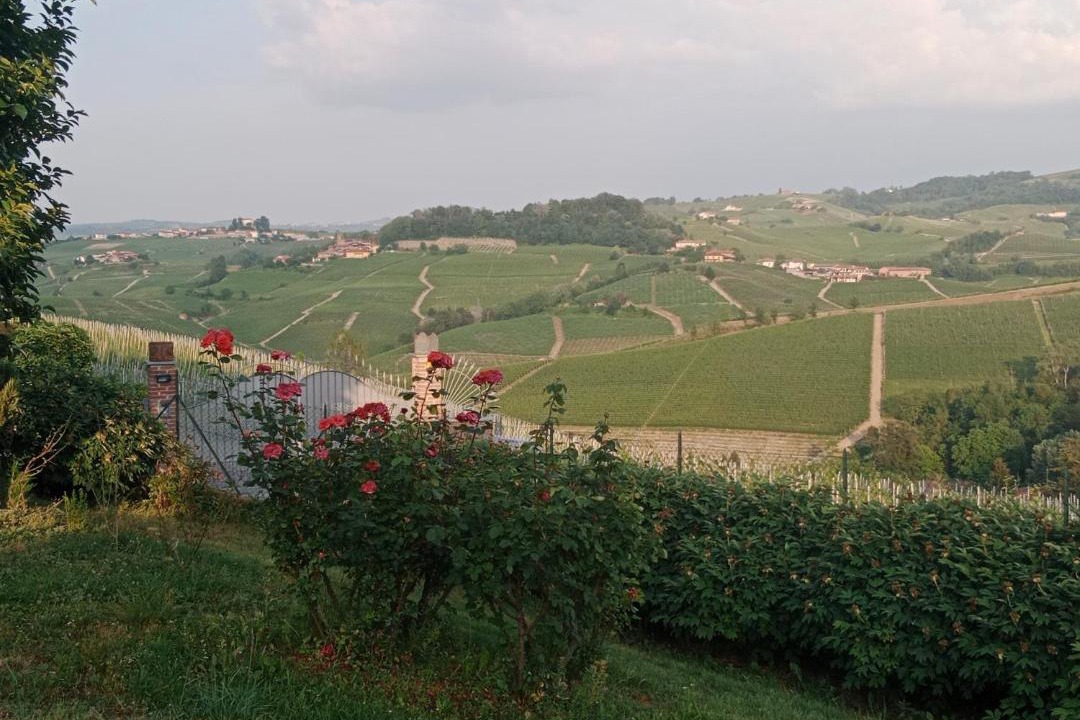 Photo of Outdoor in Barolo