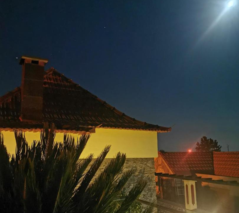 Photo of Others in Estreito da Calheta